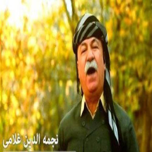 نجمه الدین غلامی سنه